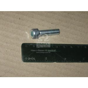 Винт М8-6gх30 (крышки цепи) см59426